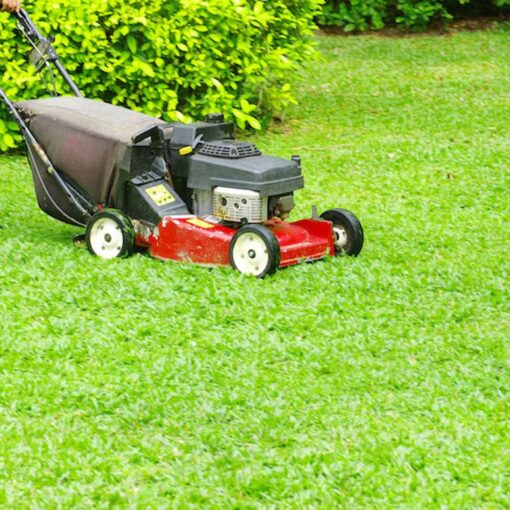 Lawn Aeration