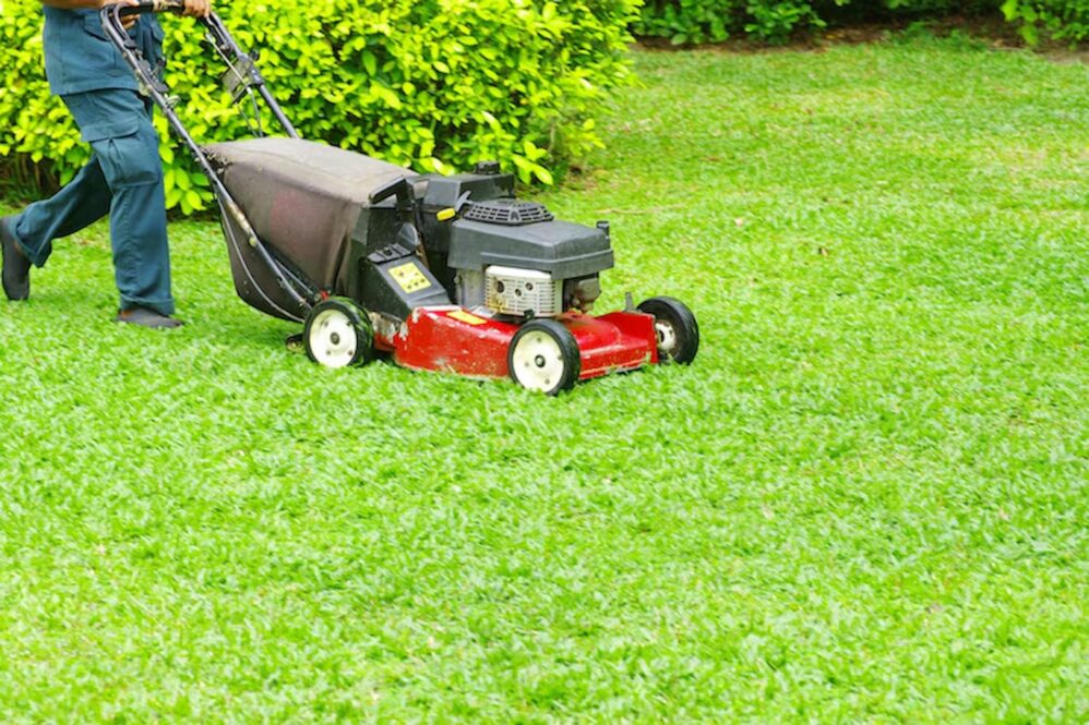 Lawn Aeration